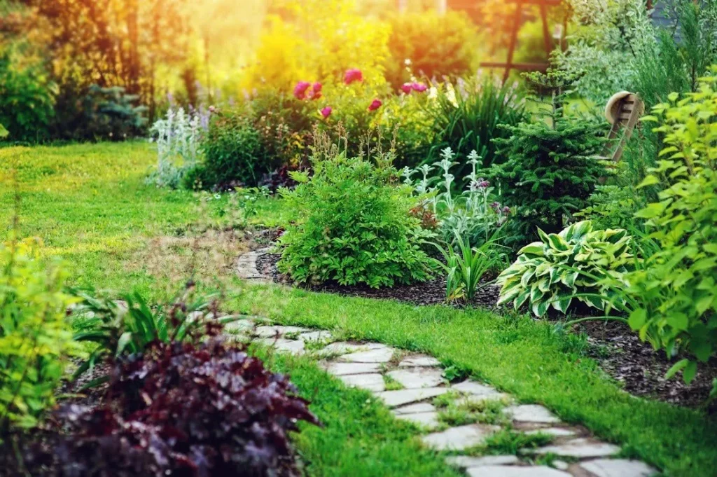 PLUMBING TREATMENT OPTIONS THAT PROTECT YOUR LANDSCAPING