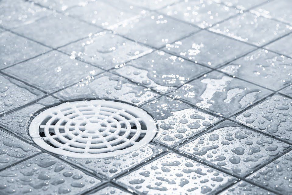 How to Unclog a Shower Drain and Keep It Clean, Architectural Digest