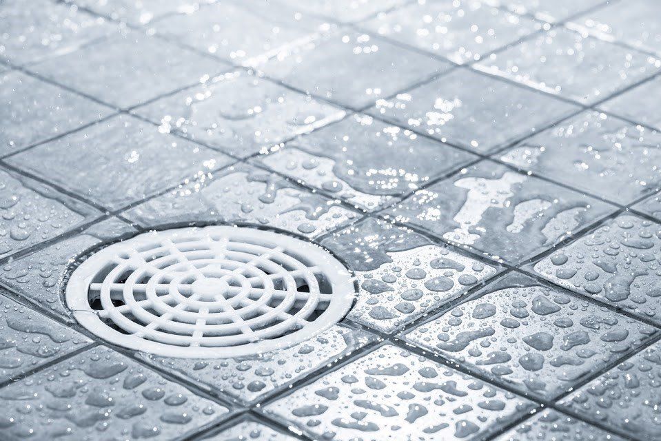 4 CAUSES OF A CHRONICALLY CLOGGED SHOWER DRAIN