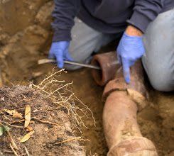 5 THINGS YOU SHOULD KNOW ABOUT SEWER LINES