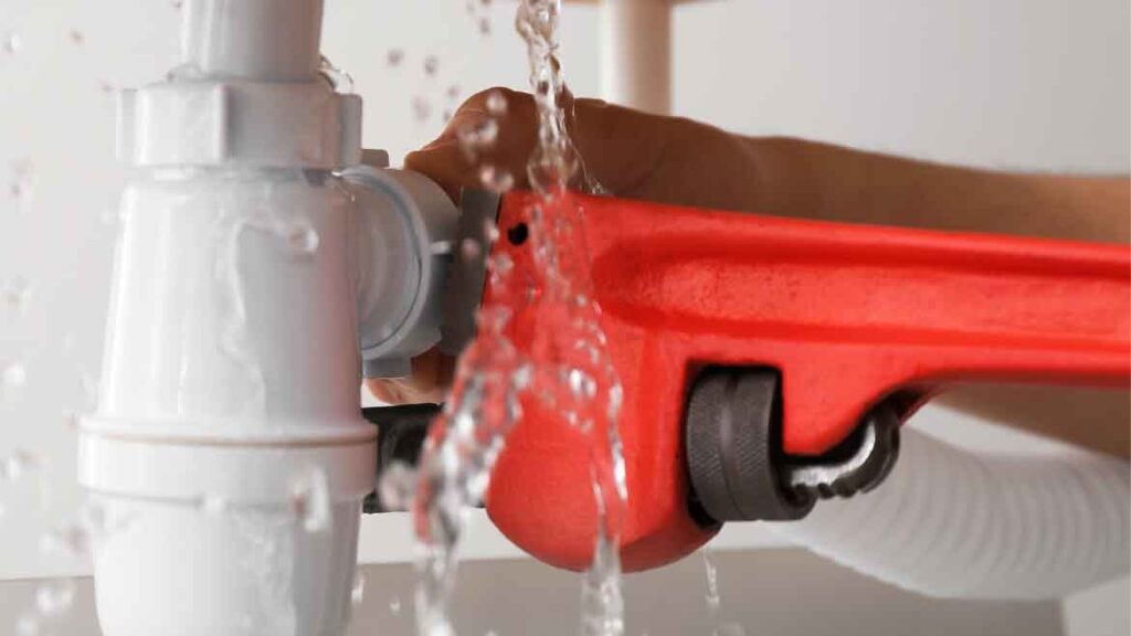 What Can a Same-Day Plumber Fix in One Visit (1)
